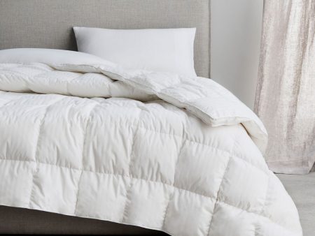 Ultimate Dream Feather & Down Quilt by Sheridan For Cheap