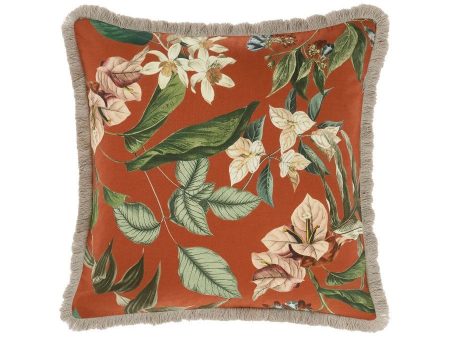 Anastacia Cushion 48 x 48cm by Linen House Hot on Sale