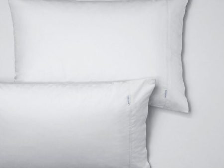 Heston 300TC WHITE FITTED SHEET + PILLOWCASES COMBO by Bianca Online Sale