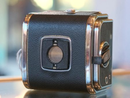 Hasselblad A12 back Cheap