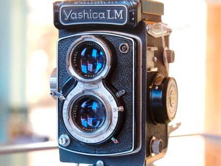 Yashica LM on Sale