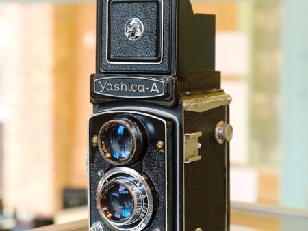 Yashica A Hot on Sale