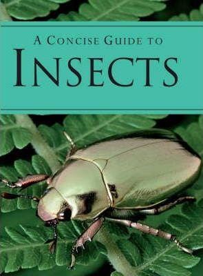 Concise Guide To Insects For Cheap